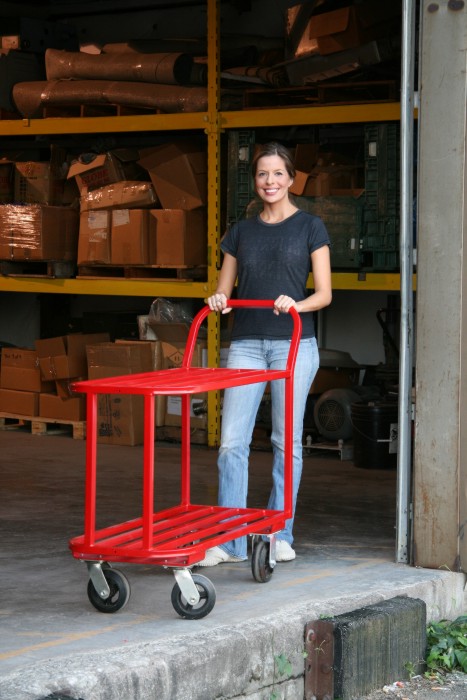 Good L Corp double stock concrete cart