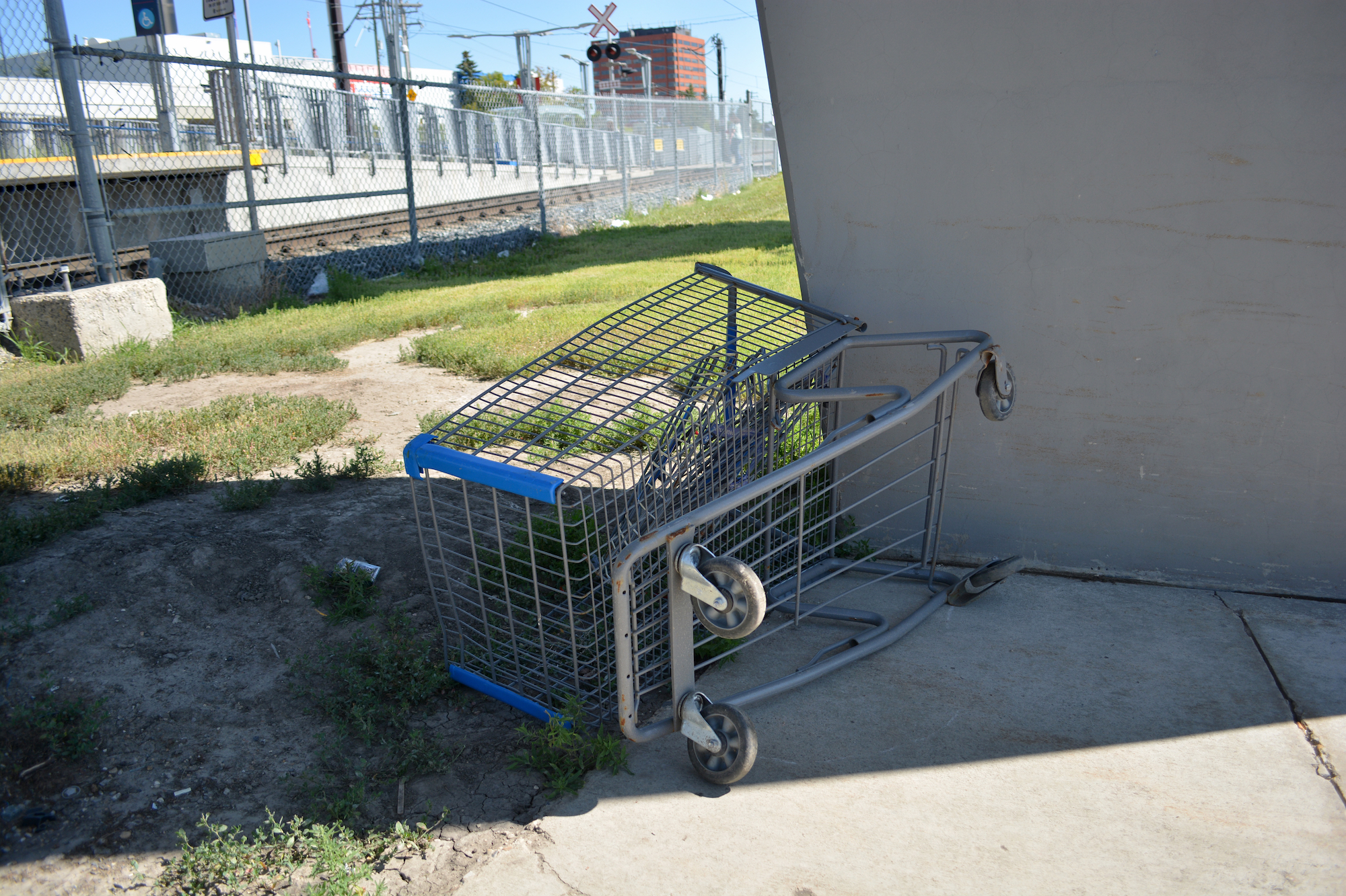What Happens After I Replace A Shopping Cart Good L Corp