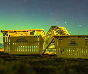 Yellow shopping baskets in the night sky.